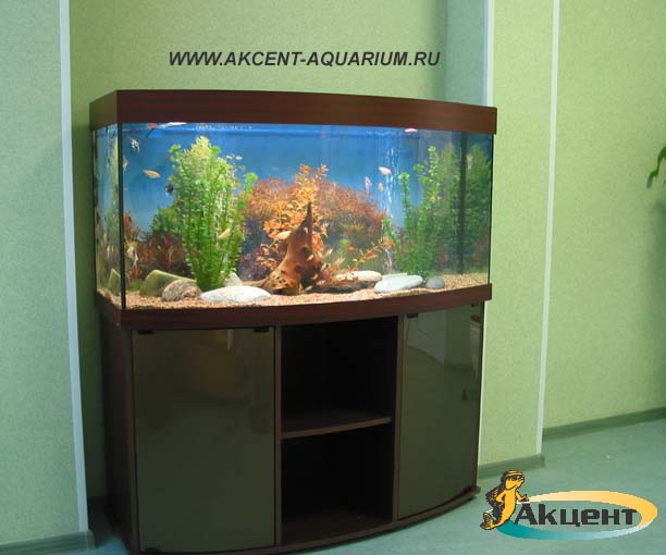 Акцент-аквариум,аквариум 270 литров с гнутым передним стеклом
